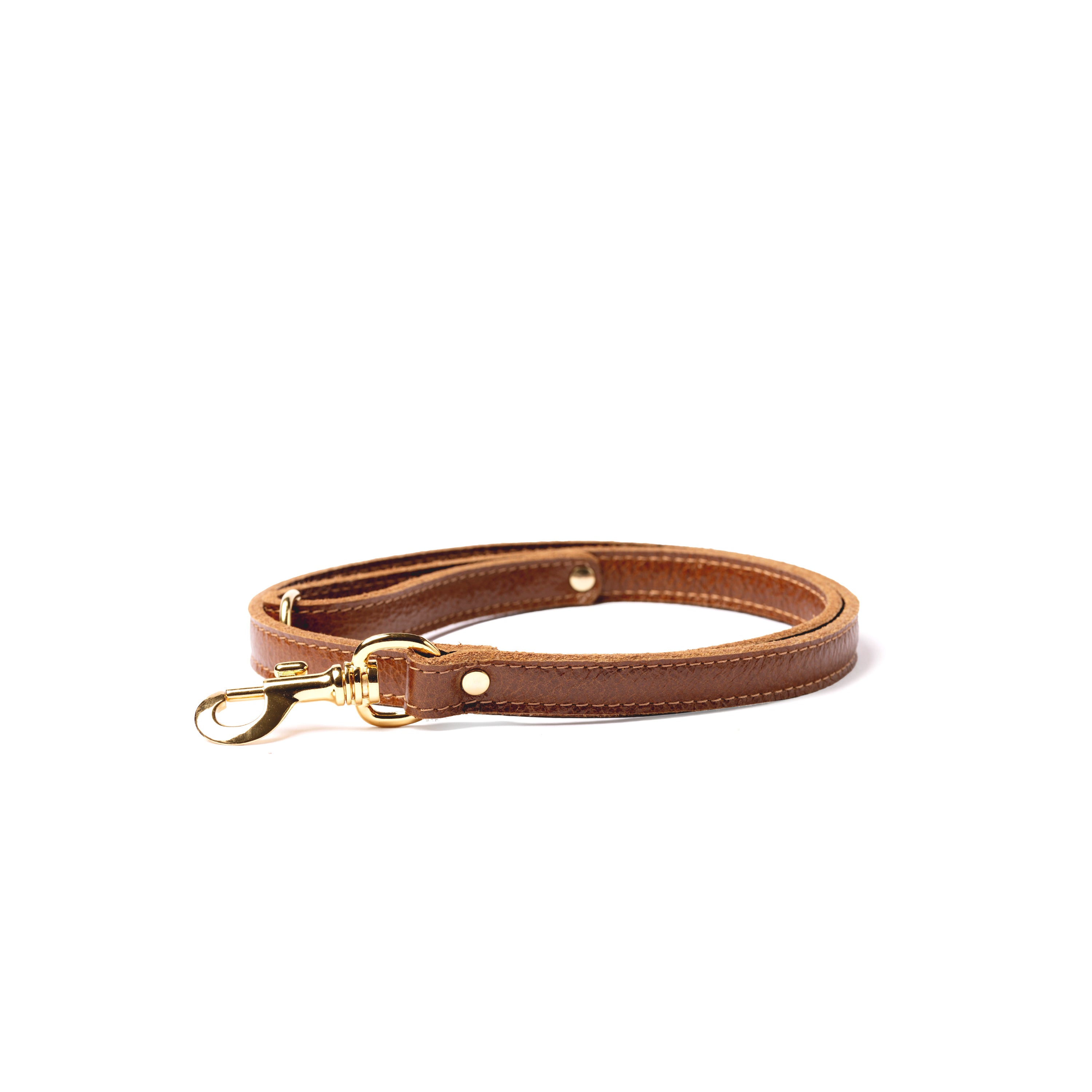 Guinzaglio Cuoio